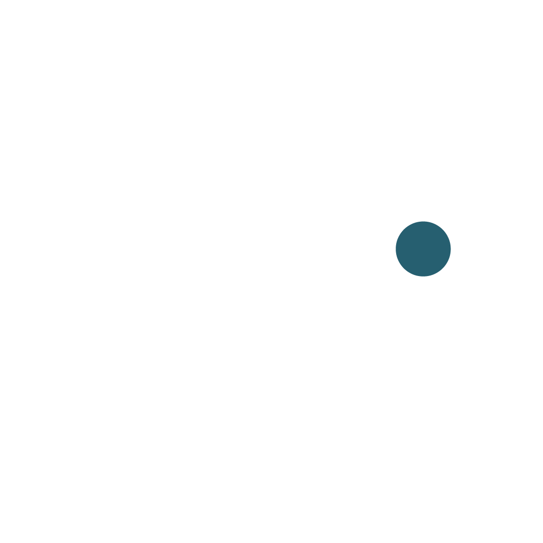 XAVO-Business & Marketing Strategist